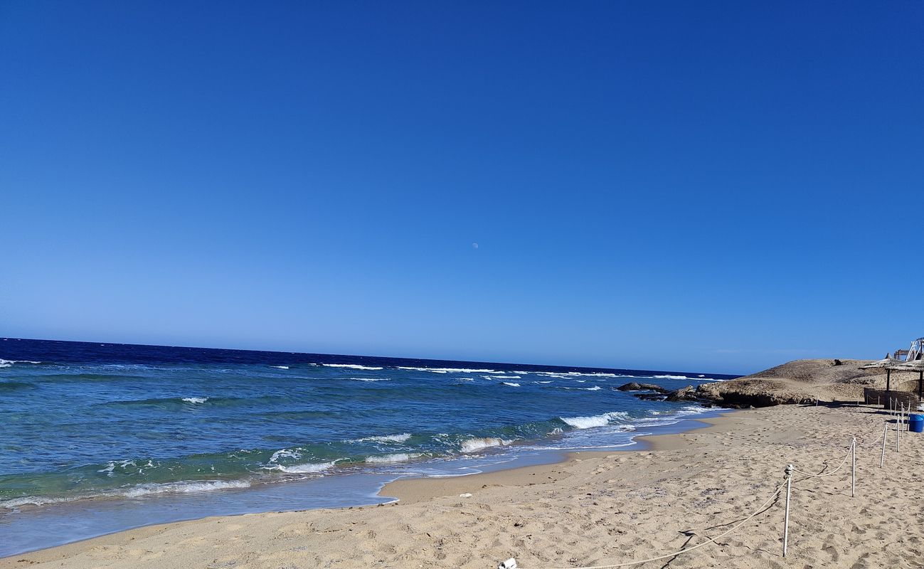 Coral Sun Beach фото 43