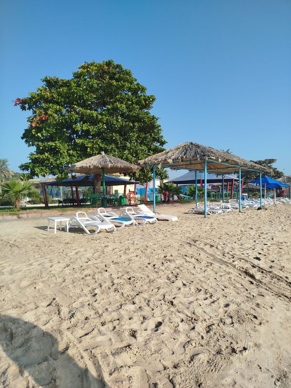 Flamingo Beach Resort фото 30