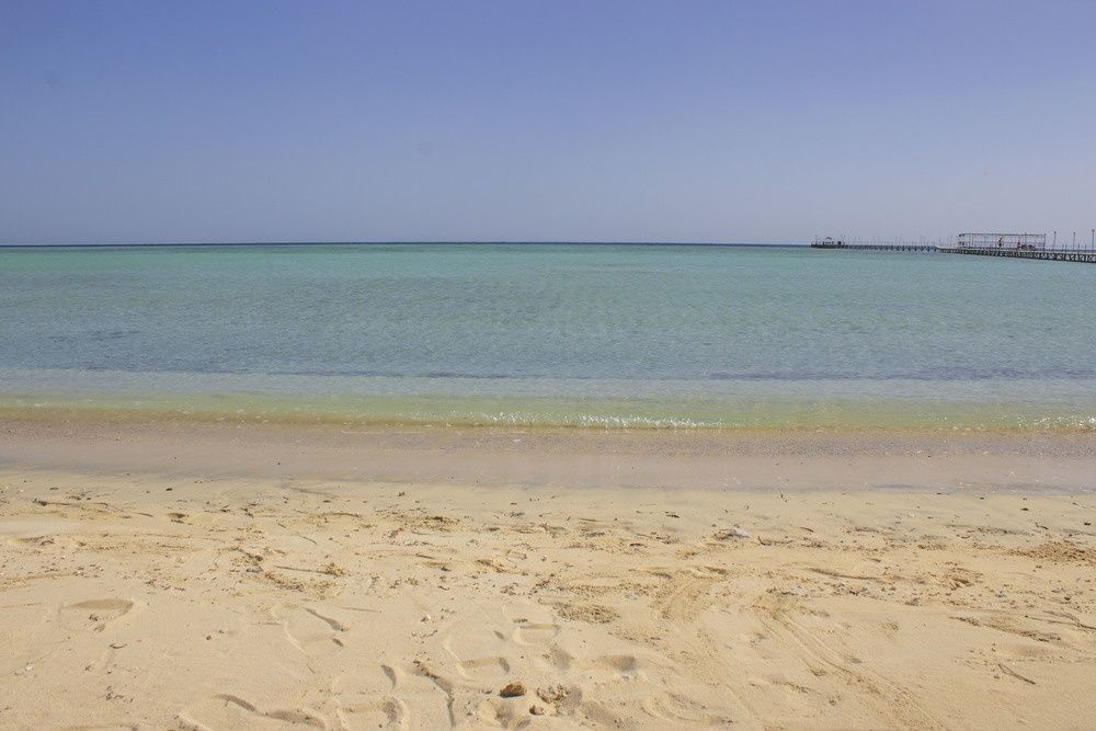Protels Beach Club & SPA фото 114