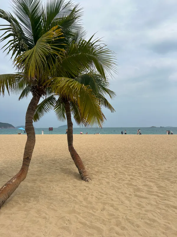 Grand Metropark Villa Resort Sanya Yalong Bay фото 48