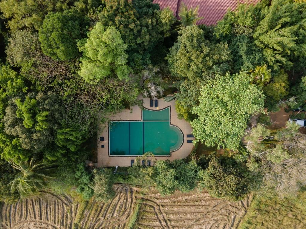 Pelwehera Village Resort фото 43