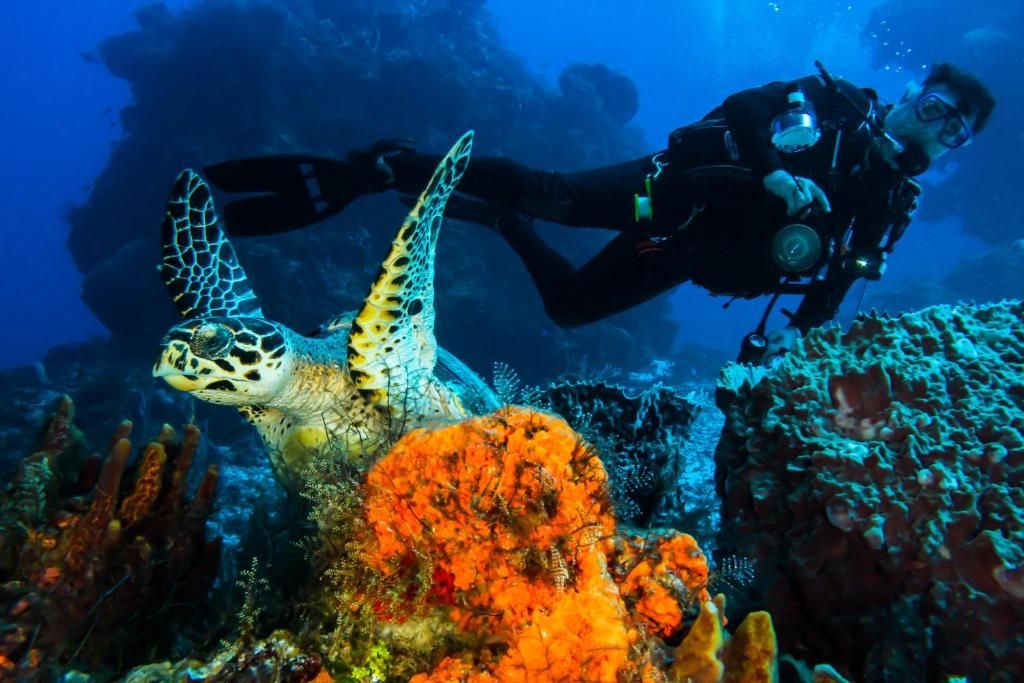 Cozumel Palace-All Inclusive фото 26