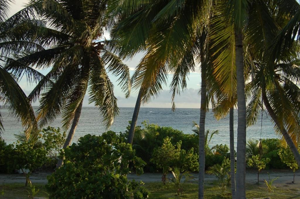 Vaali Island Escapes & Dive фото 34