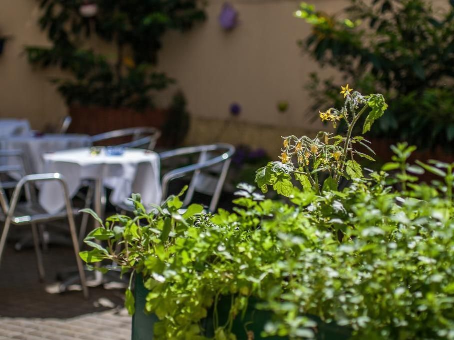 Boutique Hotel Donauwalzer фото 4