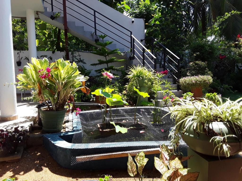 Karl Holiday Bungalow фото 53