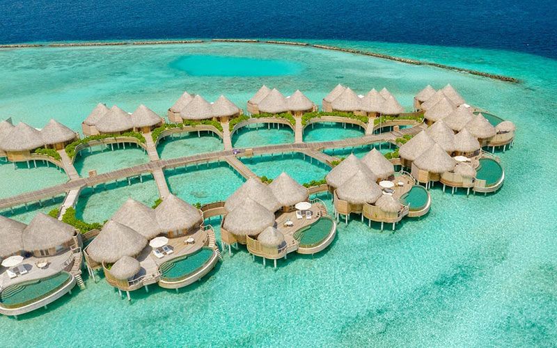 The Nautilus Beach & Ocean Houses Maldives фото 71