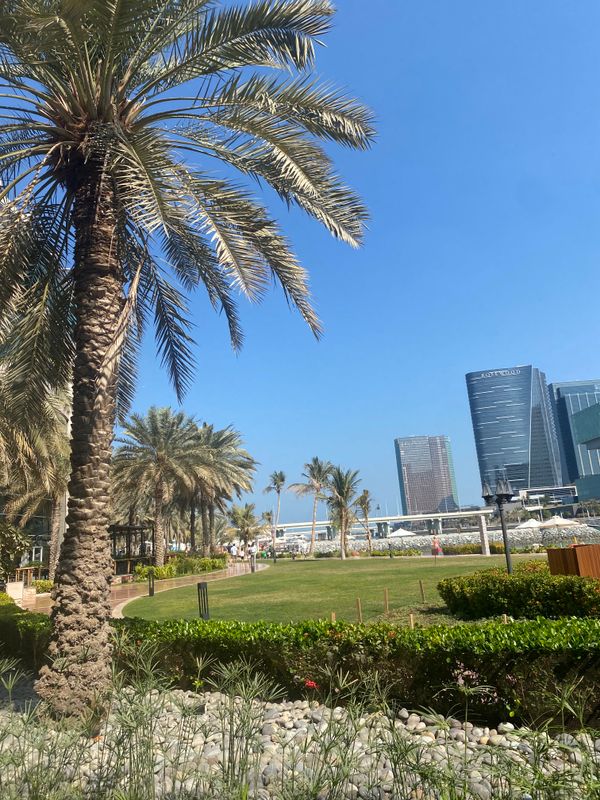 Beach Rotana Hotel фото 62