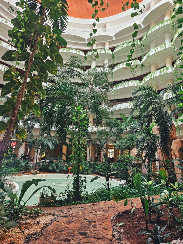 Melia Varadero фото 73