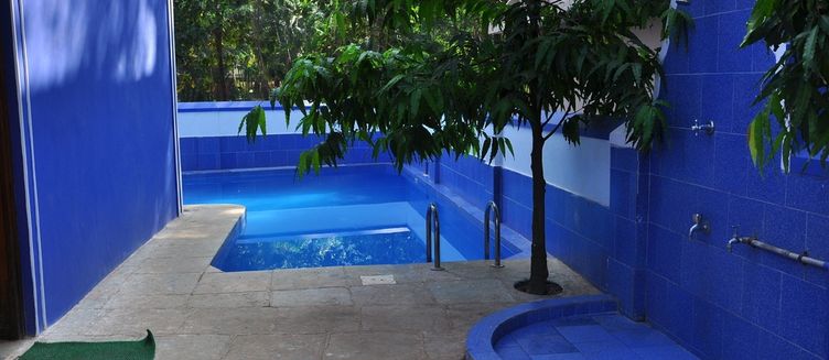 Фото отеля Seagull