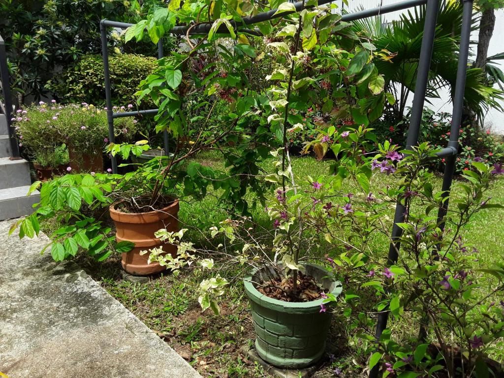 Karl Holiday Bungalow фото 48