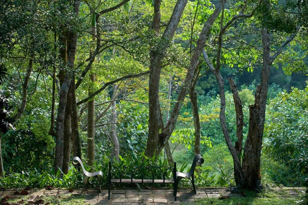 Lunuganga фото 61