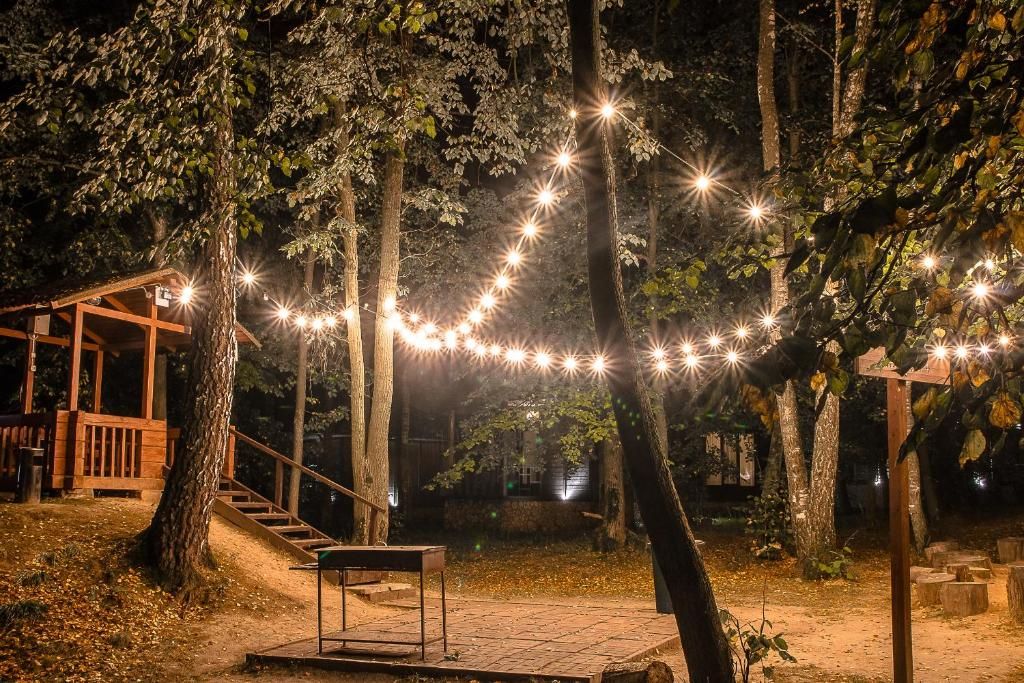 Гостиница «Foresta Festival Park» фото 157