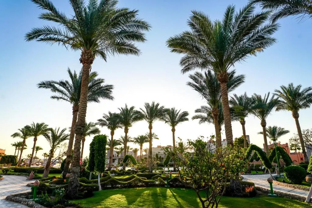 Sentido Akassia Beach фото 105