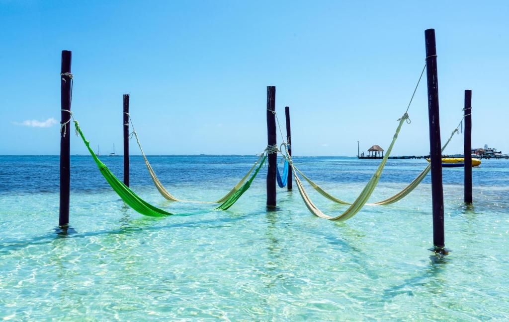Grand Oasis Palm - All inclusive фото 5