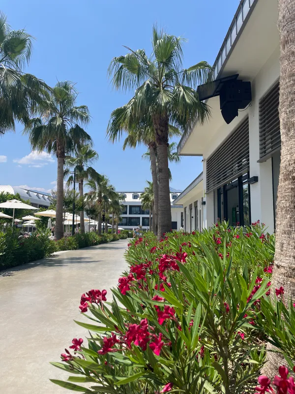 Swandor Hotels & Resorts Kemer фото 131
