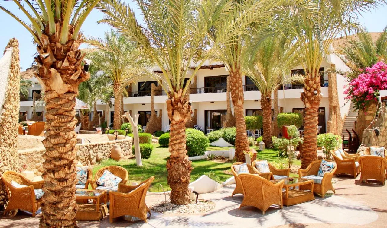 Turquoise Beach Hotel фото 8