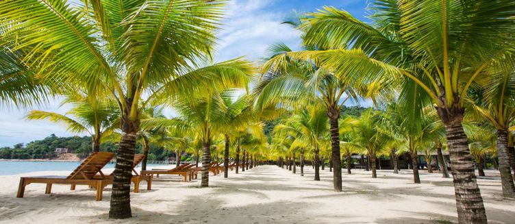 Фото отеля Chez Carole Beach Resort
