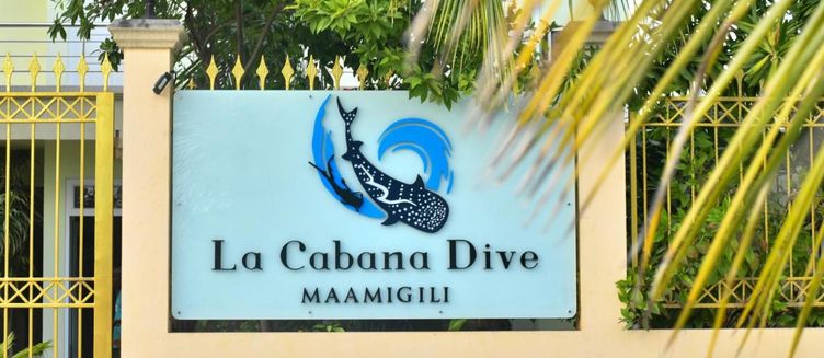 Фото отеля La Cabana Hotel & Dive