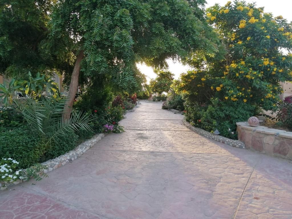 Silver Beach Redsea Resort фото 30