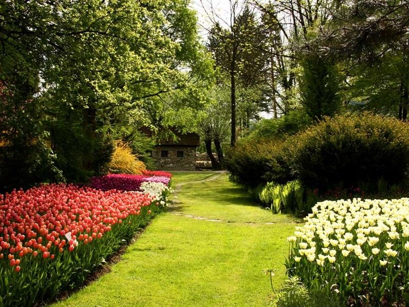 Depandance Vila Higiea - Terme Dobrna фото 24