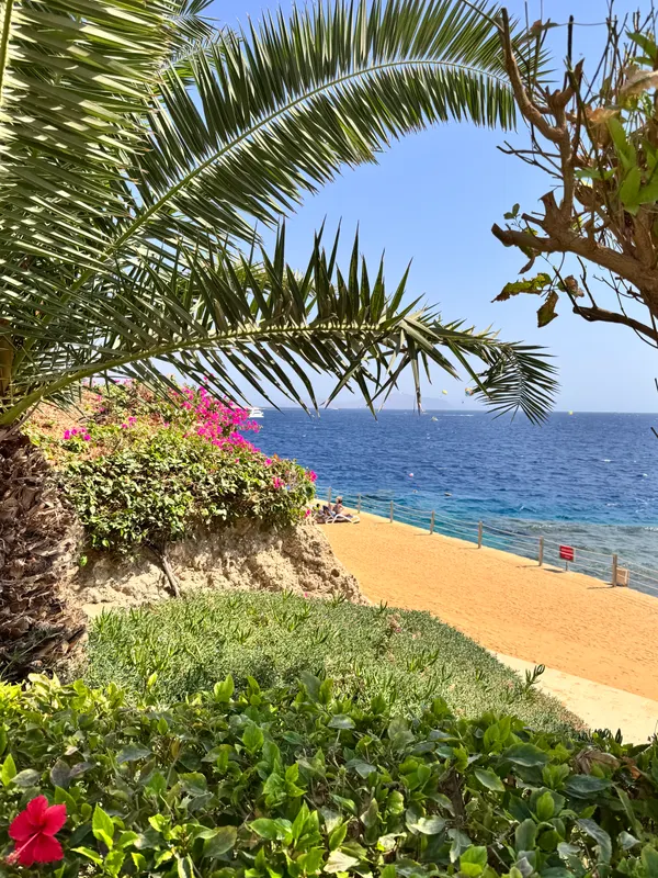 Stella Di Mare Beach Hotel & Spa Sharm El Sheikh фото 85