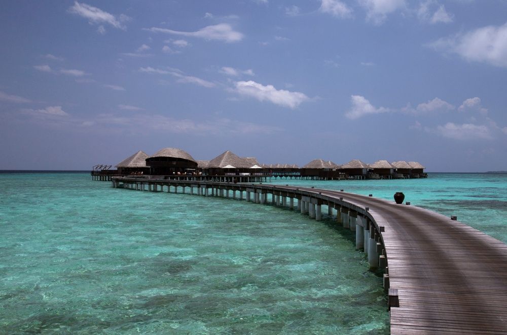 Coco Bodu Hithi фото 106