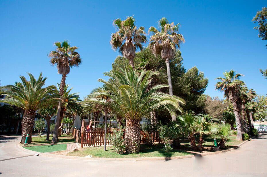 Aparthotel Pierre & Vacances Mallorca Cecilia фото 2