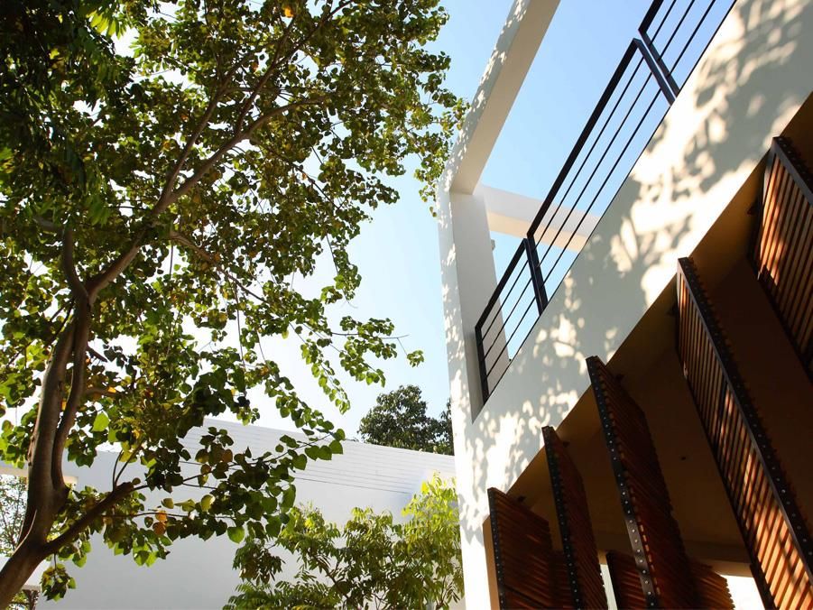 The Library фото 38