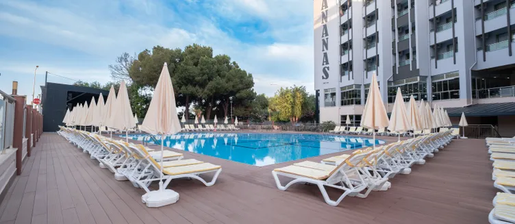 Фото отеля Ananas Hotel