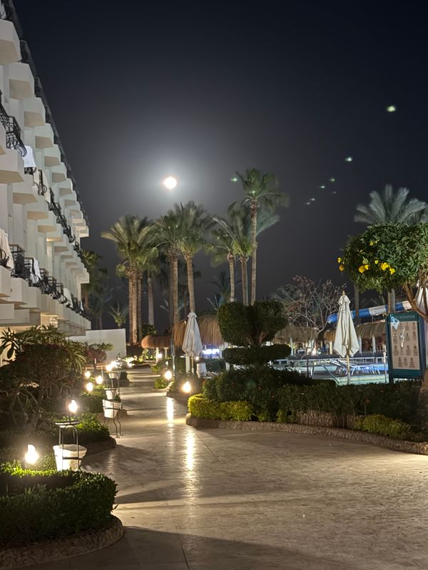 Sunrise Aqua Joy Resort фото 111