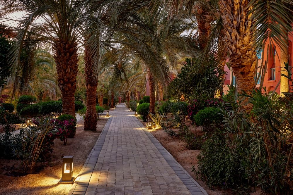 Sheraton Miramar Resort El Gouna фото 120