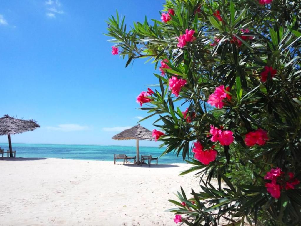 Nest Style Beach Hotel Zanzibar фото 61