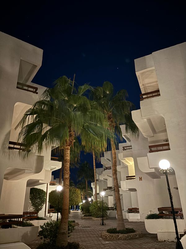 Marlin Inn Azur Resort фото 68