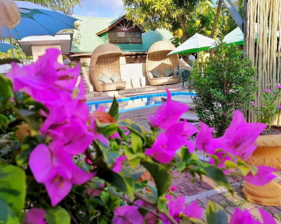 Guest House «Casa De Leela Guest House» фото 51