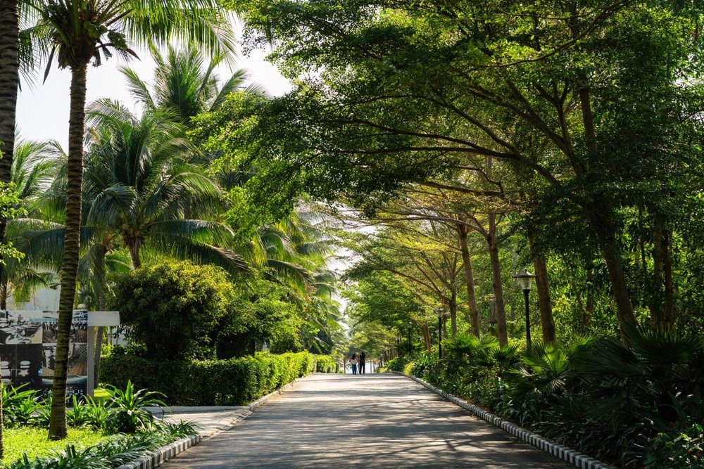 Cam Ranh Riviera Beach Resort & Spa фото 88