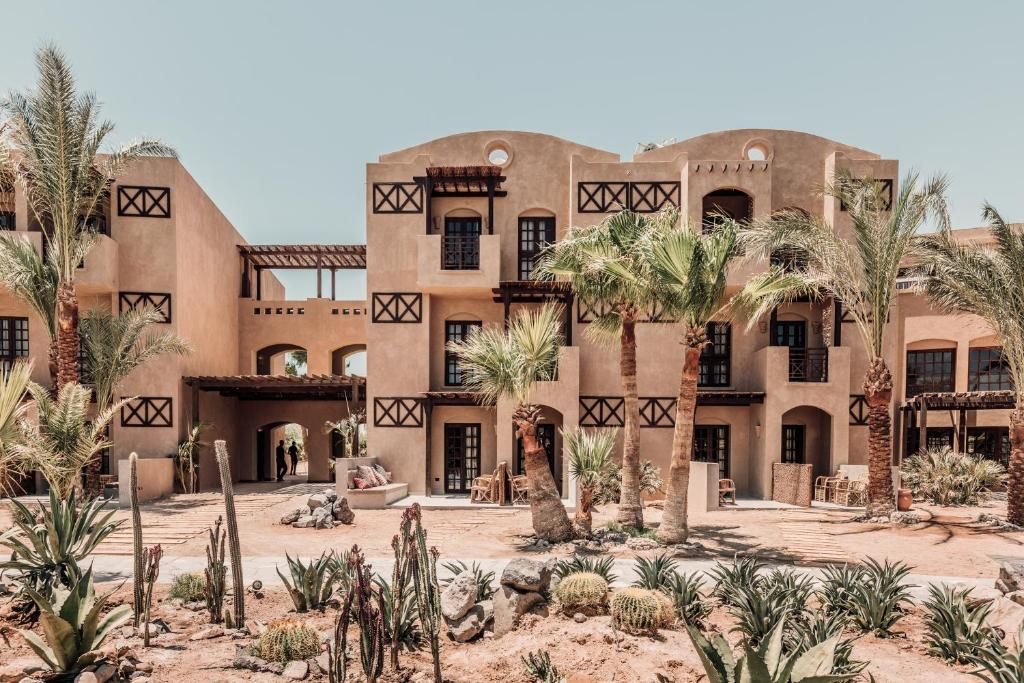 Cook's Club El Gouna (Adults Only) фото 32
