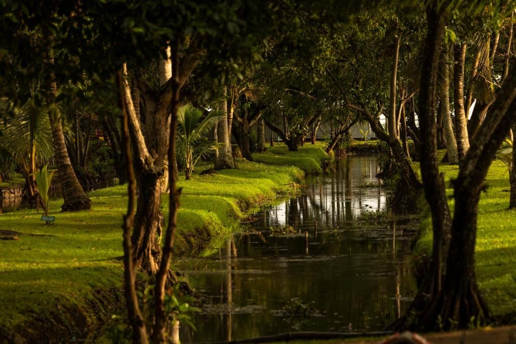 Coconut Lagoon - CGH Earth фото 69