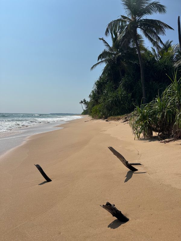 Ranna 212 Beach Resort фото 22
