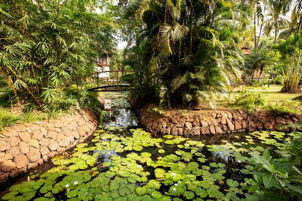Coconut Creek Resort фото 43