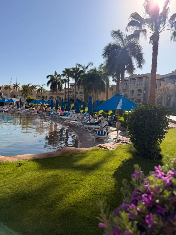 Rixos Sharm El Sheikh (Adults Only) фото 63