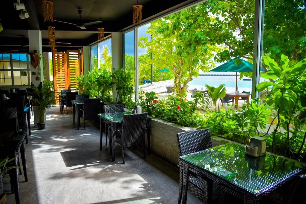 Guest House «Rashu Hiyaa Guest House» фото 6