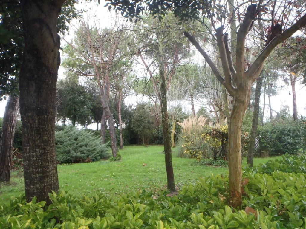 Airone Pisa Park Hotel фото 12