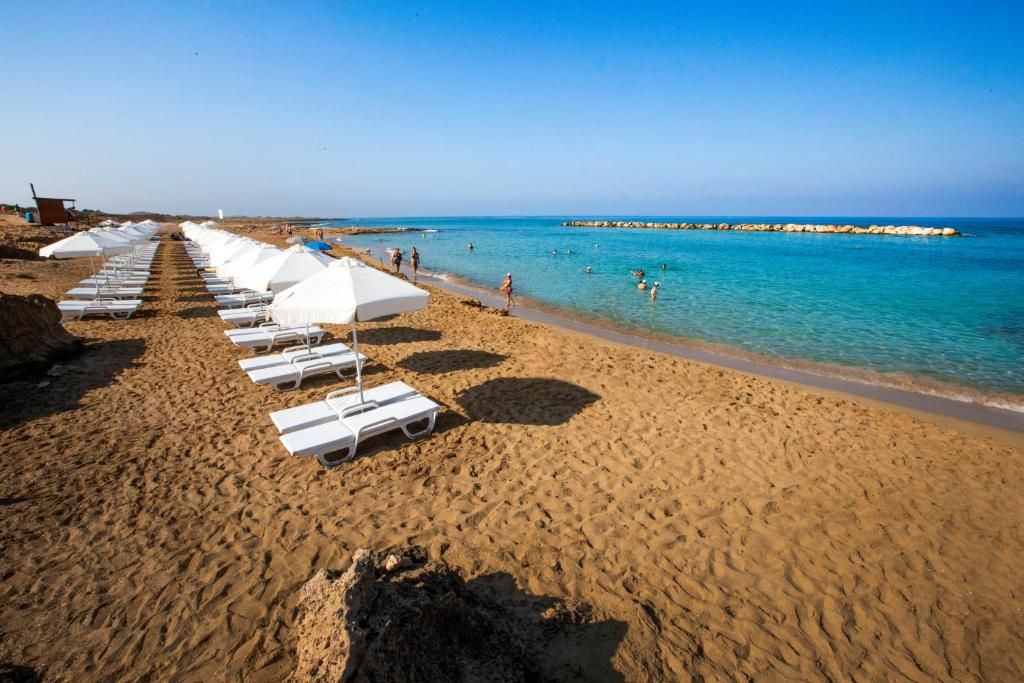 Venus Beach Hotel фото 4
