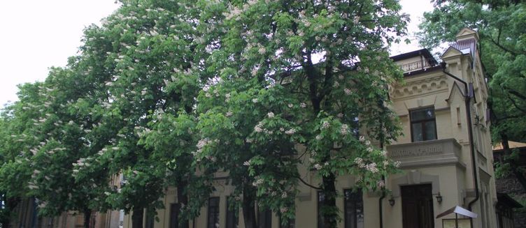 Фото отеля Княжна Мери