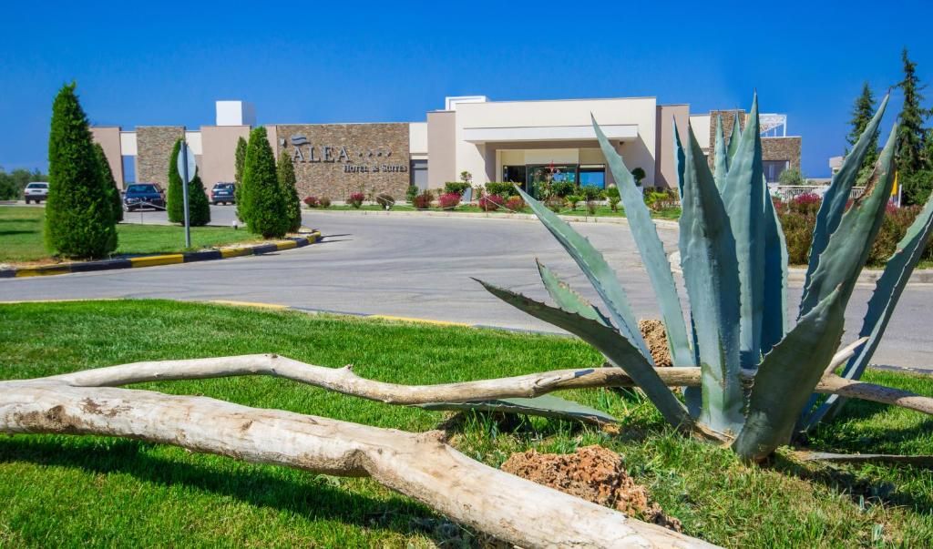 ALEA Hotel & Suites фото 14