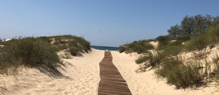 Фото отеля София