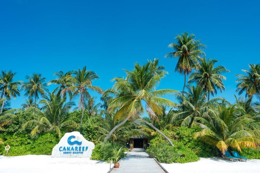 Canareef Resort фото 32