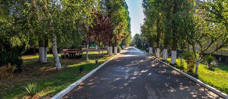 Фото отеля Азов Шинкар