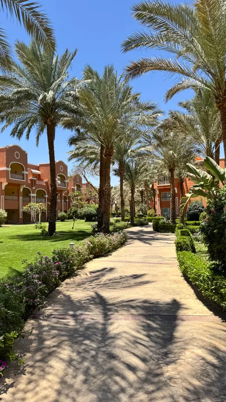 Sentido Caribbean World Resort Soma Bay фото 86