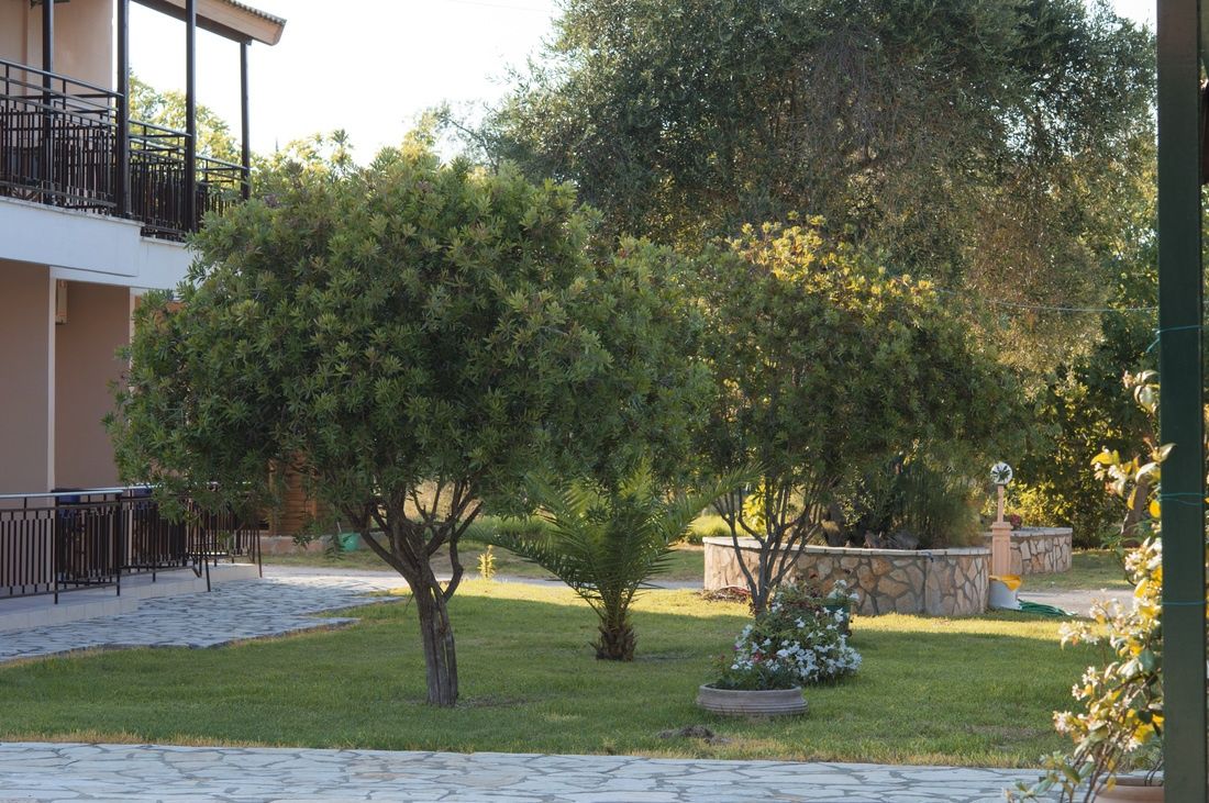Olive Grove Resort фото 21